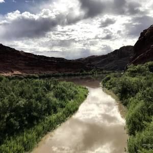 Meet your Posher, Milovan